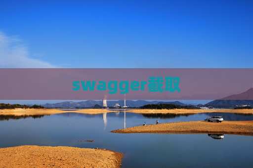 swagger截取